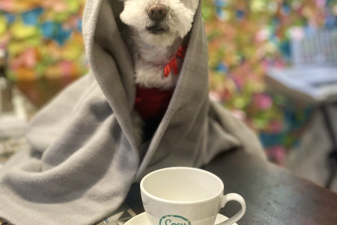 Budapest Airbnb‑helyzet 2026 fókuszban a KKV szektor