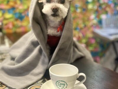 Budapest Airbnb‑helyzet 2026 fókuszban a KKV szektor